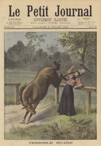 Una donna calciata da un cavallo