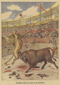 Combattimento tra un leone e un toro da after Henri Meyer