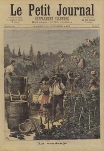 La vendemmia