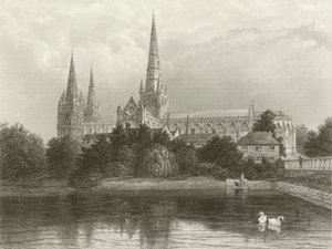 Cattedrale di Lichfield da Henry after Warren