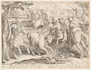 Cattura di tori selvatici da after Jan van der Straet, called Stradanus