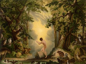 La creazione di Adamo da Johann Elias Ridinger or Riedinger