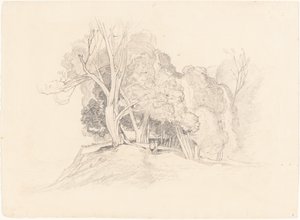 Paesaggio con Alberi