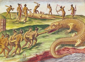 Caccia ai coccodrilli, da 