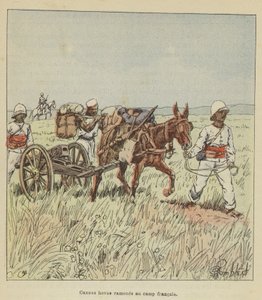 Cannoni hovas riportati al campo francese da after Louis Charles Bombled