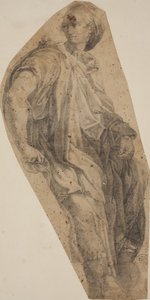 Sibilla da S. Maria della Pace