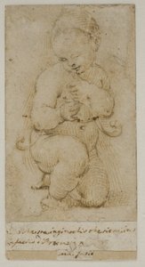 Il bambino Giovanni Battista da after Raphael