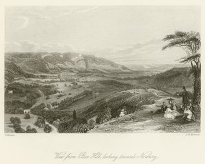 Vista da Box Hill, guardando verso Norbury