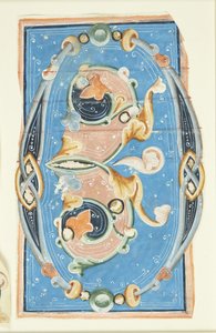 Iniziale ornamentata O