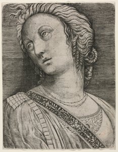 Busto di una donna da attributed to Jacopo de