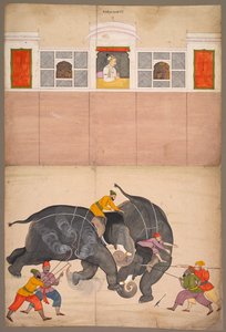 Due elefanti che combattono in un cortile davanti a Muhammad Shah da attributed to Nainsukh