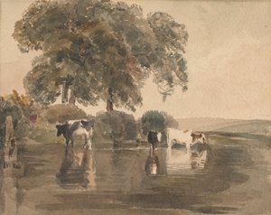 Mucche in una pozza da attributed to Peter DeWint