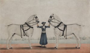 Un groom che tiene due cavalli da carrozza, ca. 1845
