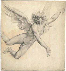 Un angelo in volo