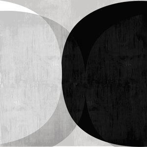 Curve astratte in bianco e nero da cartissi