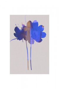 Astratto: Fiori blu da cartissi