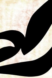 Curve calligrafiche astratte da cartissi