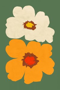 Composizioni floreali astratte da cartissi