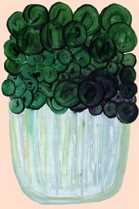 Pianta da appartamento verde (immagine astratta) da cartissi