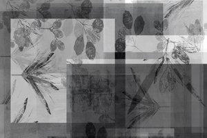Fogliame grigio astratto da cartissi