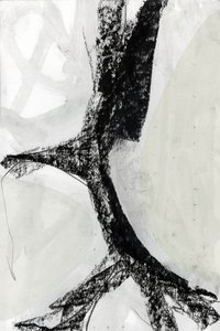 Azzardo astratto monocromatico da cartissi
