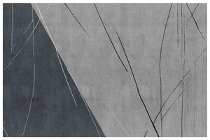 Linee astratte in grigio freddo da cartissi