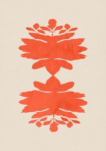 Simmetria botanica dei coralli da cartissi