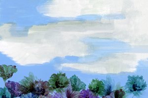 Cielo fiorito da sogno