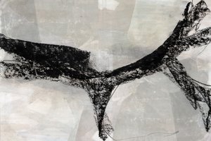Forma astratta dinamica da cartissi