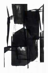 Forme dinamiche in nero