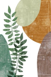 Forme botaniche dal carattere terroso da cartissi