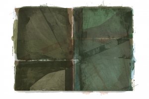 Tonalità di verde terra da cartissi