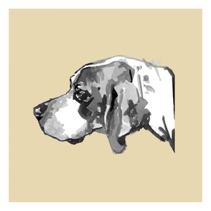 Profilo di un cane elegante da cartissi