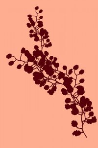 Elegante silhouette floreale da cartissi