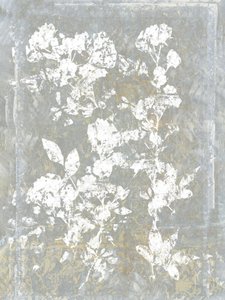 Sagoma floreale sbiadita da cartissi