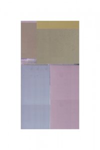 Delicati campi di colore da cartissi
