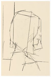 Studio dei profili geometrici da cartissi