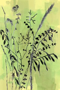 Sagome botaniche verdi da cartissi