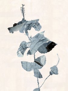 Astratto con fiori di ibisco da cartissi