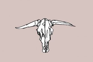 Teschio Longhorn minimalista