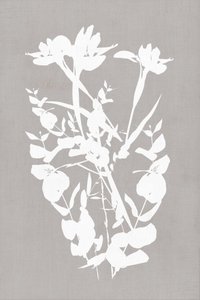 Silhouette botaniche moderne da cartissi