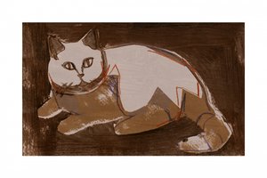 Gatto moderno che riposa da cartissi