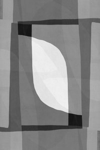 Flusso geometrico monocromatico da cartissi