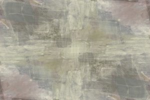 Flusso organico tenue da cartissi