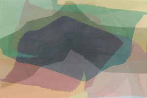 Campi di colore sovrapposti da cartissi