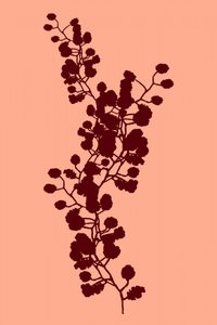 Silhouette botanica alla pesca da cartissi