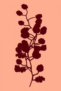 Silhouette botanica di pesca da cartissi
