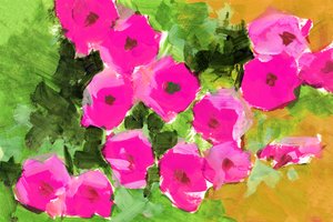 Il giardino in fiore
