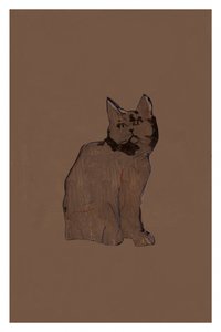 Gatto marrone tranquillo da cartissi