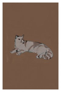 Gatto grigio rilassato da cartissi